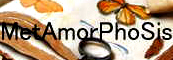 MetAmorPhoSis